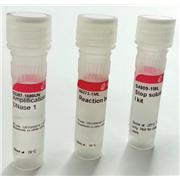 DNase I, Amplification Grade
