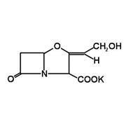 Timentin