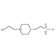 HEPES Buffer
