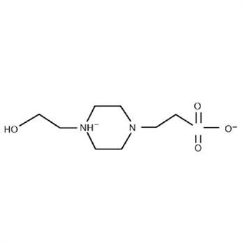 HEPES Buffer