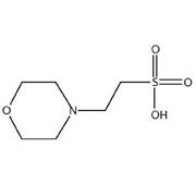 MES Buffered Saline, pH 6.1