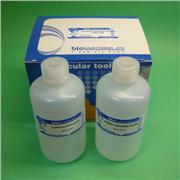 Intensive Chemiluminescence (Icl) Kit For Western Blots, 1 Kit