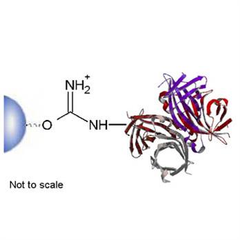 Epoxy-activated Separopore®(Agarose) 