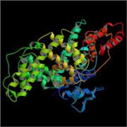 Bovine Serum Albumin (BSA), Alcohol Isolation