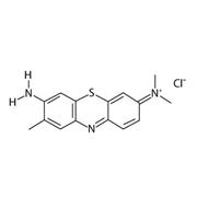 Toluidine Blue O, 25 g