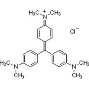 Crystal Violet Stain Solution