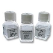 Antibiotic-Antimycotic Solution 100X, 100 mL