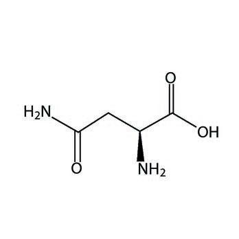 L-Asparagine