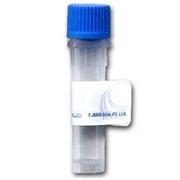 Zymolyase