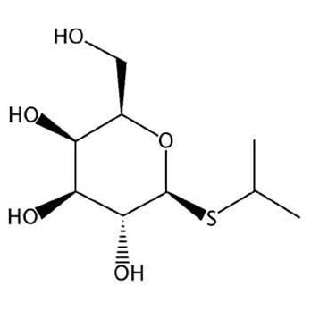 IPTG (Isopropyl-beta-D-Thiogalactopyranoside)