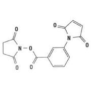 3-Maleimidobenzoyl-N-hydroxysuccinimide Ester, 100 mg