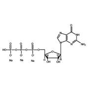 GTP (Guanosine-5'-triphosphate)