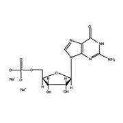 Guanosine-5'-Monophosphate, 5 g