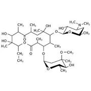 Erythromycin