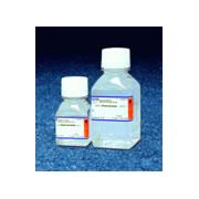 Carbenicillin Solution (100 mg/mL)