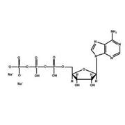 ATP (Adenosine-5'-triphosphate)