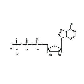 ATP (Adenosine-5'-triphosphate)