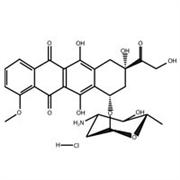 Doxorubicin Hydrochloride, 10 mg