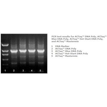 ACTaq™ Blue High Fidelity DNA Polymerase