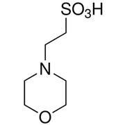 MES Sodium Salt
