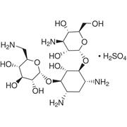 Kanamycin Sulfate