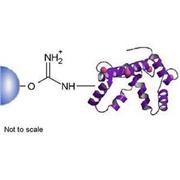 Calmodulin Separopore® (Agarose)