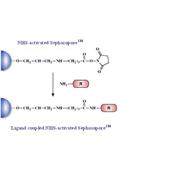 NHS-activated Separopore® (Agarose) 4B-CL
