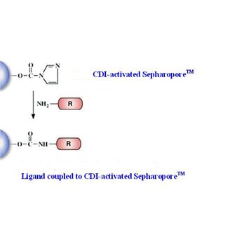 CDI-Activated Separopore® Agarose 4B