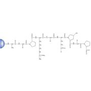 Gelatin Separopore® (Agarose) 4B