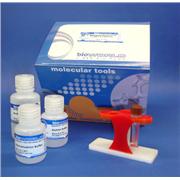 Concanavalin A Lectin (Con A) - MagneZoom™ (Paramagnetic Beads) Kit, 2 mL