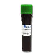 SmartGlow™ Nucleic Acid Stains