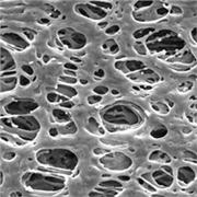 Millipore Express® PLUS Membrane Filters