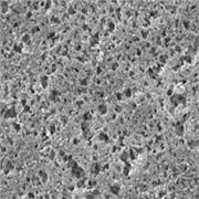 Nylon Membrane and Net Filters