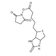 Biotin-NHS