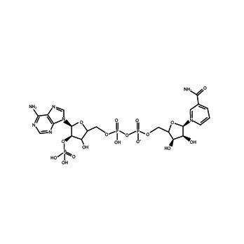 NADP (b-Nicotinamide adenine dinuc