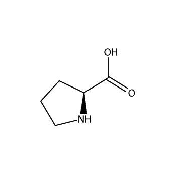 L-Proline