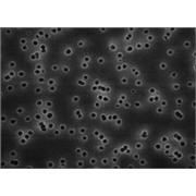 Isopore™ Membrane Filters