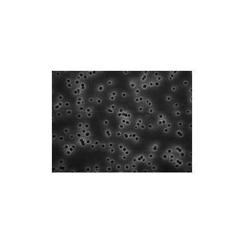 Isopore™ Membrane Filters