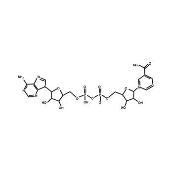 NAD(Nicotinamide adenine dinucleotid