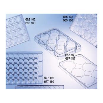 CELLSTAR® 24 Well Cell Culture Multiwell Plates