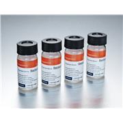 Spore Suspensions - Bacillus subtilis (Cell Line 5230)