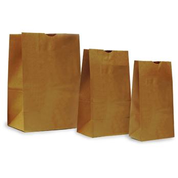 Paper Evidence Bags - Unprinted