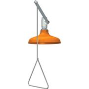 Vertically-Mounted Emergency Shower