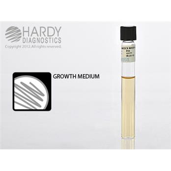 Sabdex (Sabouraud Dextrose) Broth
