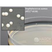 Tryptic Soy Agar (TSA) Plates, USP