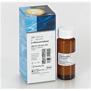?-Glucuronidase from E. coli K 12