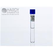 Bovine Serum Albumin, 0.2%