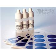 E. coliPRO™ O157 Latex Kit