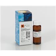 Proteinase K, recombinant, PCR Grade