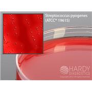 Selective Beta Strep Agar